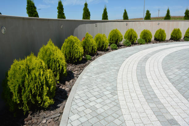 Best Local Driveway Pavers  in Orleans, IN